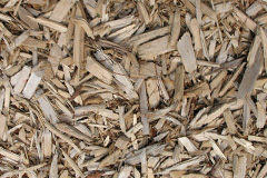 biomass boilers Ladywood